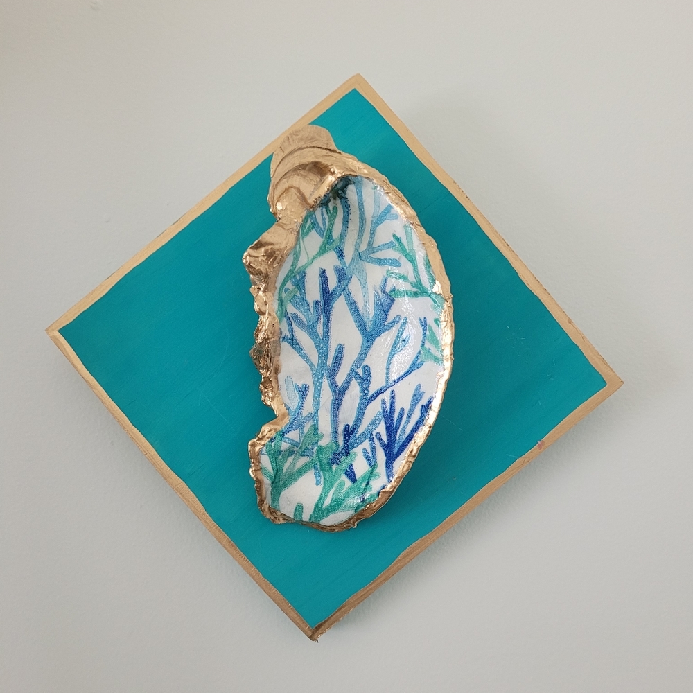 1 mounted seaweed oyster shell